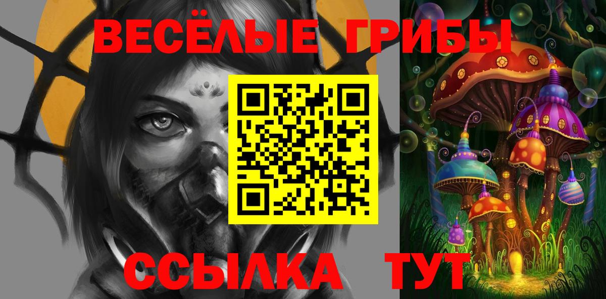 Галлюциногенные грибы Psilocybine cubensis  Вход с VPN  Белая Калитва 